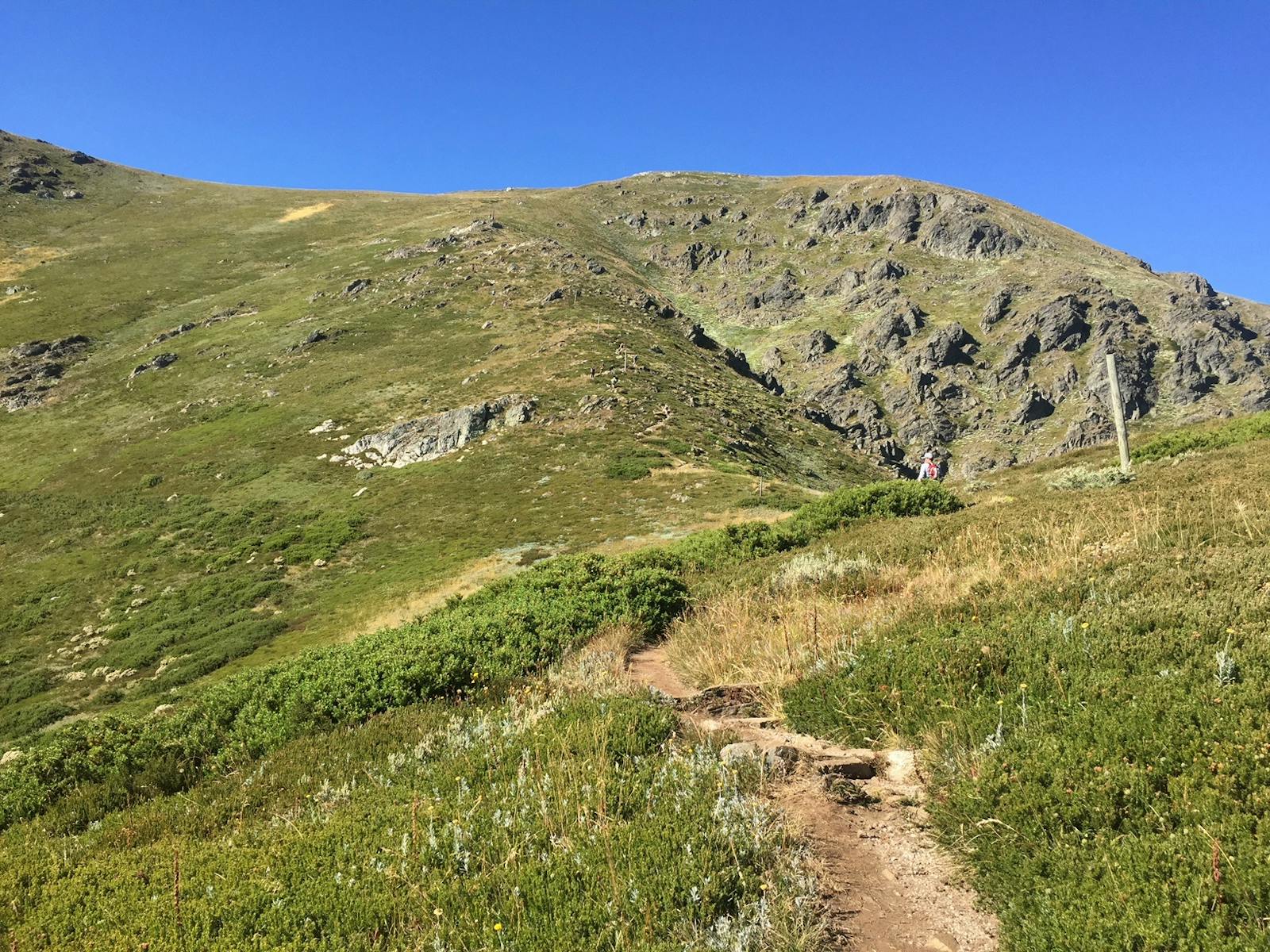 Track leading to the summit