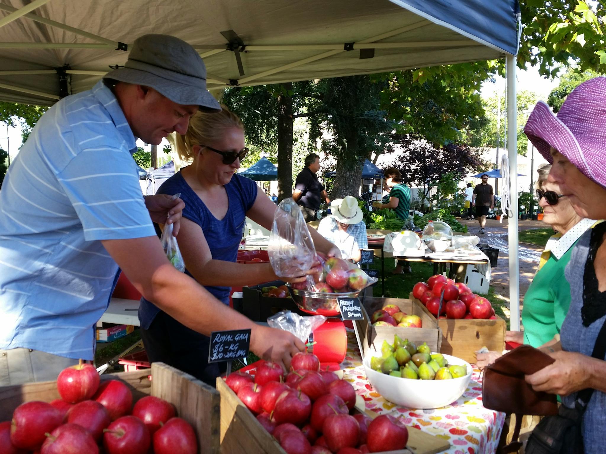 Harcourt Apples & Pears