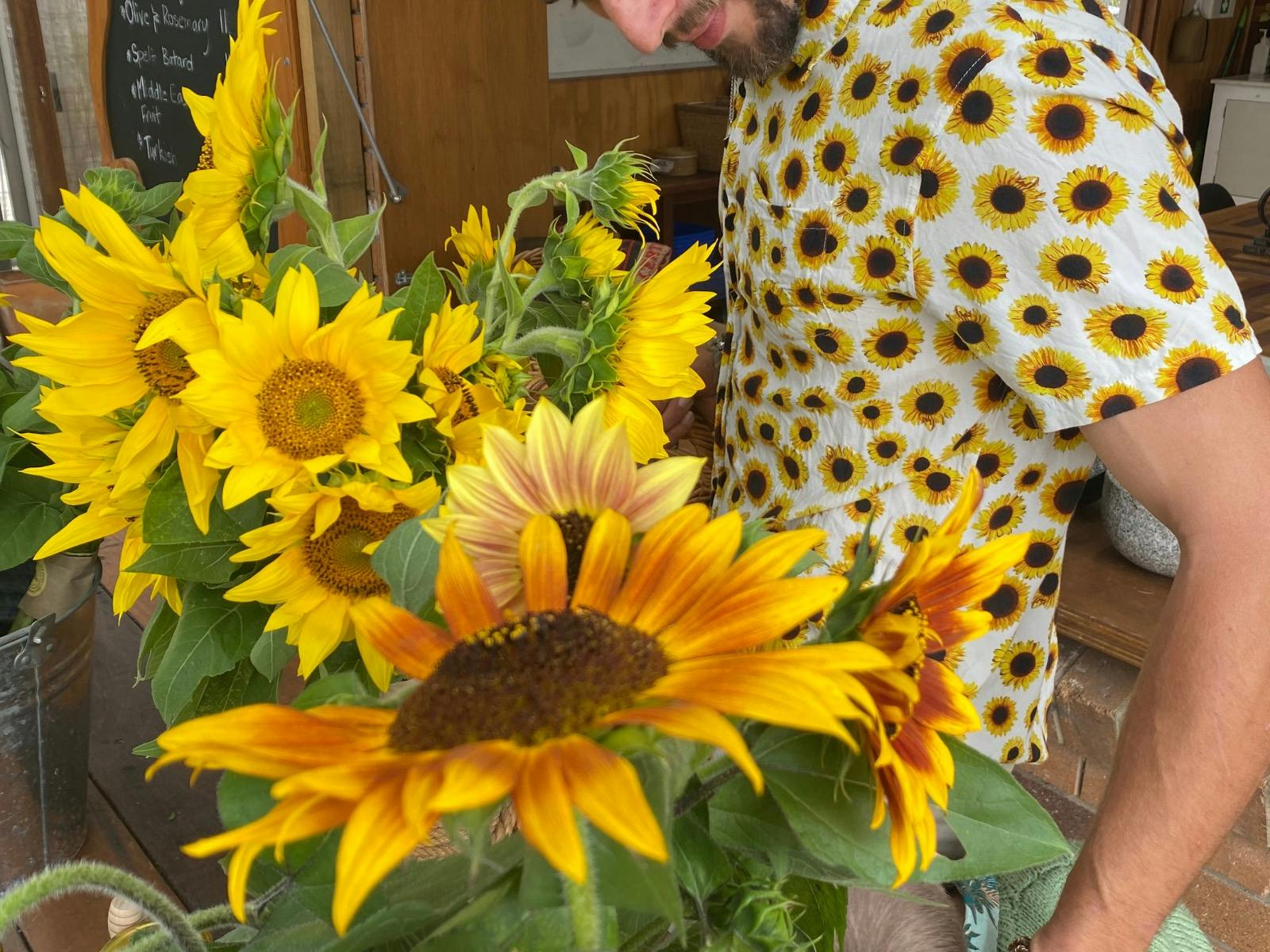 Farmgate Markets at Green Thumb Farm, Samford Valley