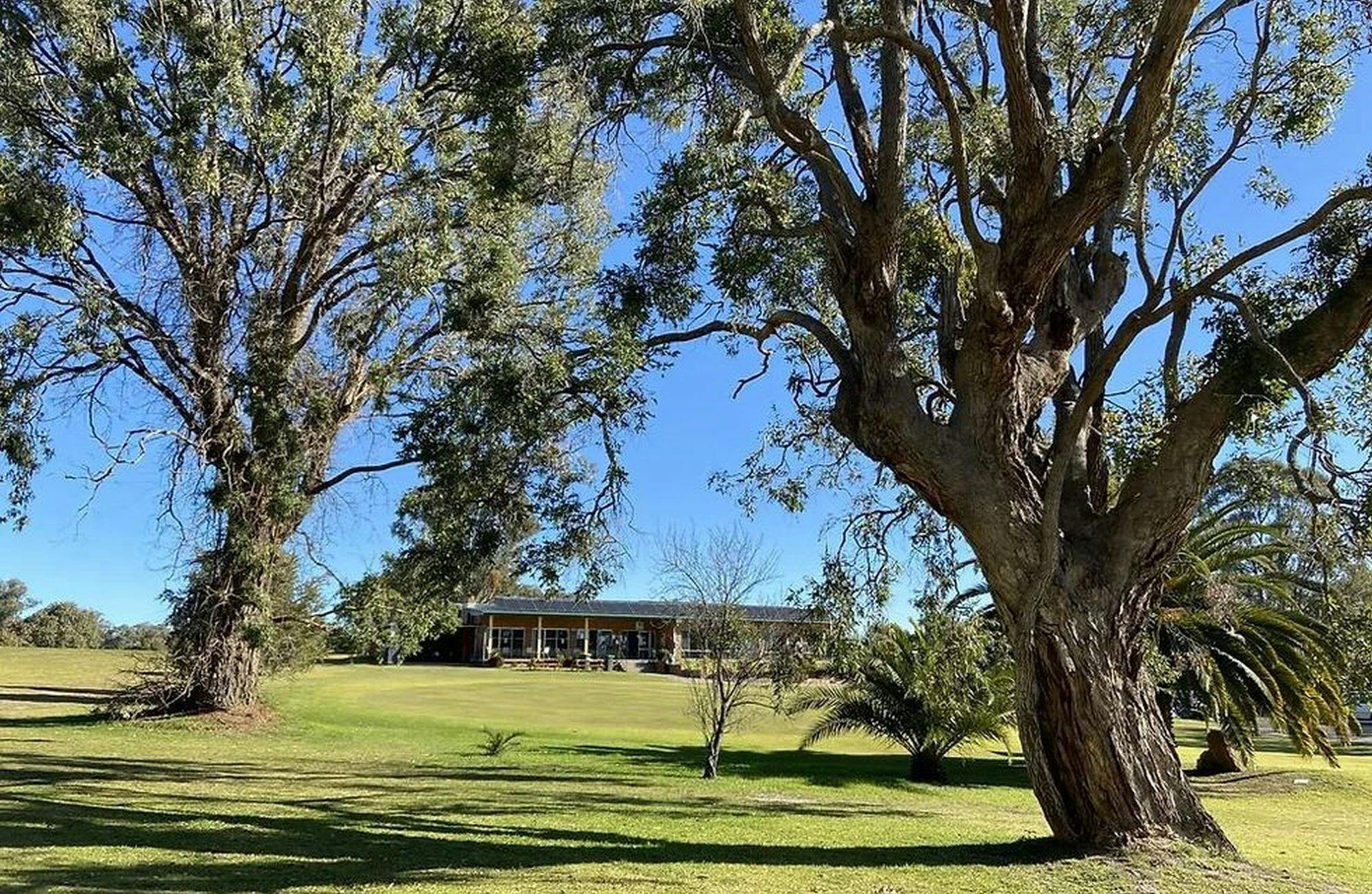 Clubhouse in background surrounded by green lawn with two mature trees in foreground