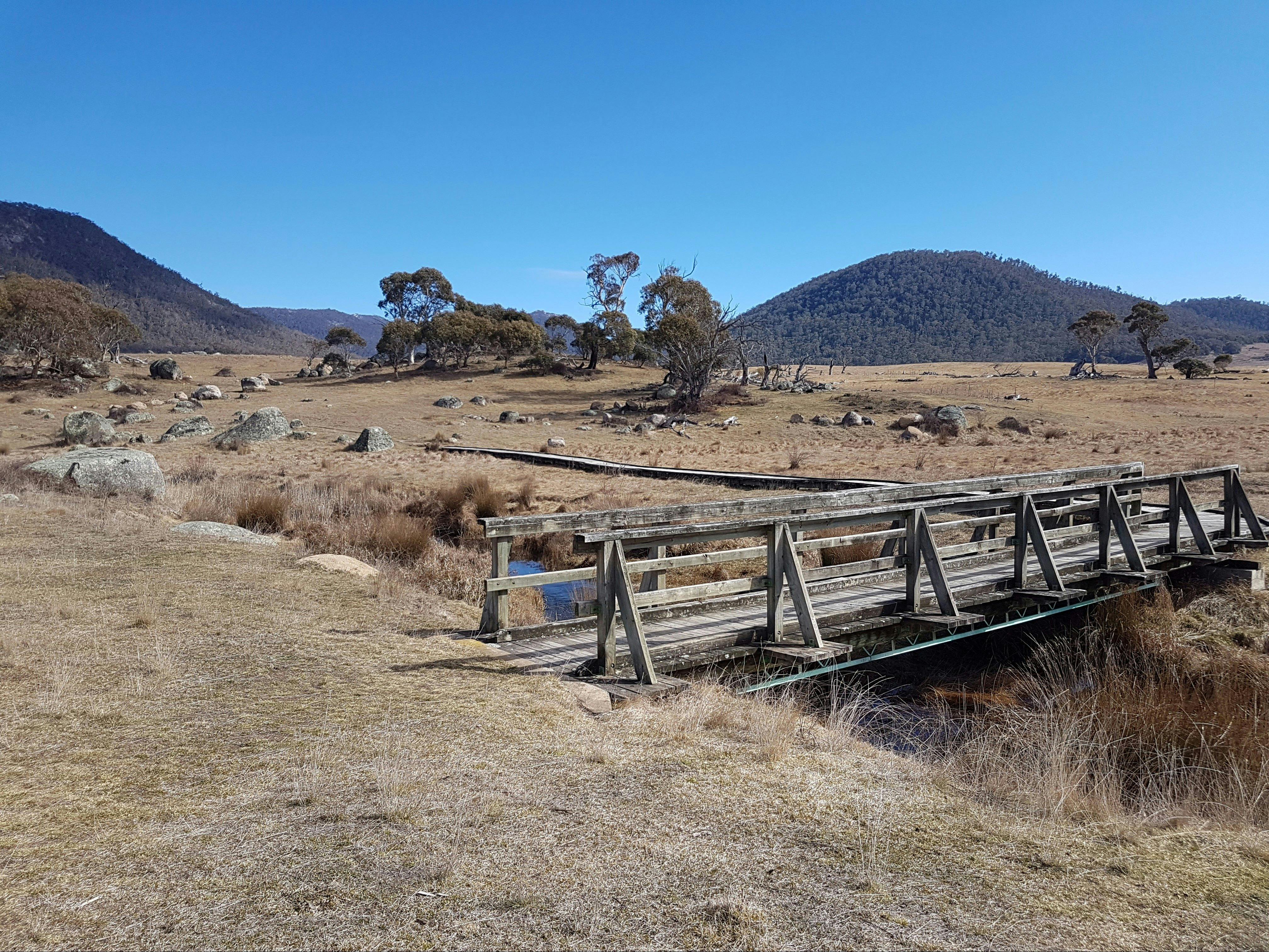 Old wooden bridge over a stream in the bush