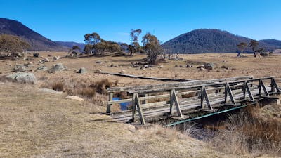 Old wooden bridge over a stream in the bush