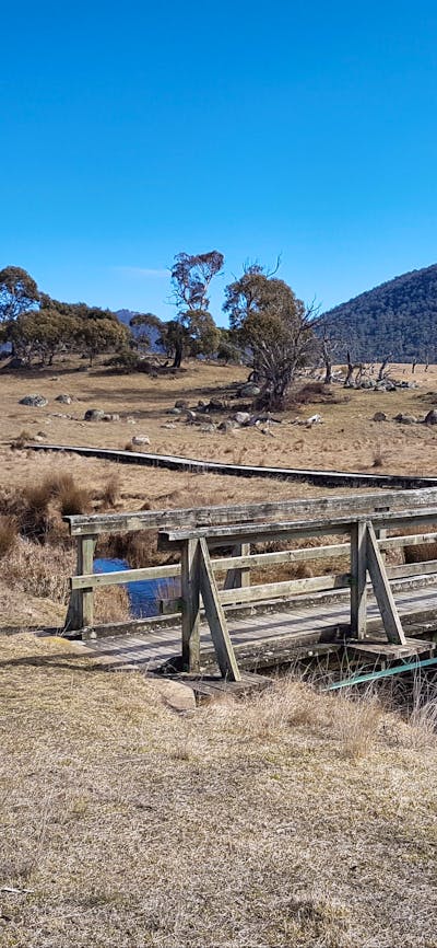 Old wooden bridge over a stream in the bush
