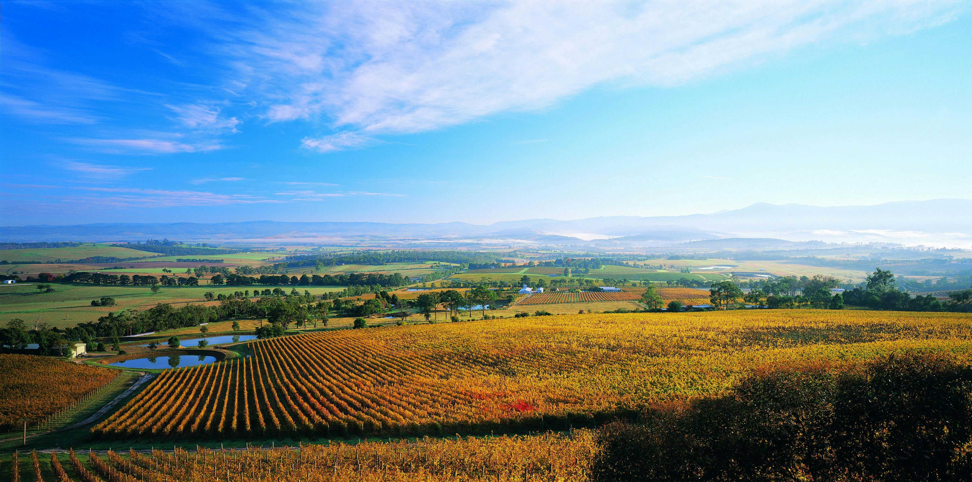 Yarra Valley