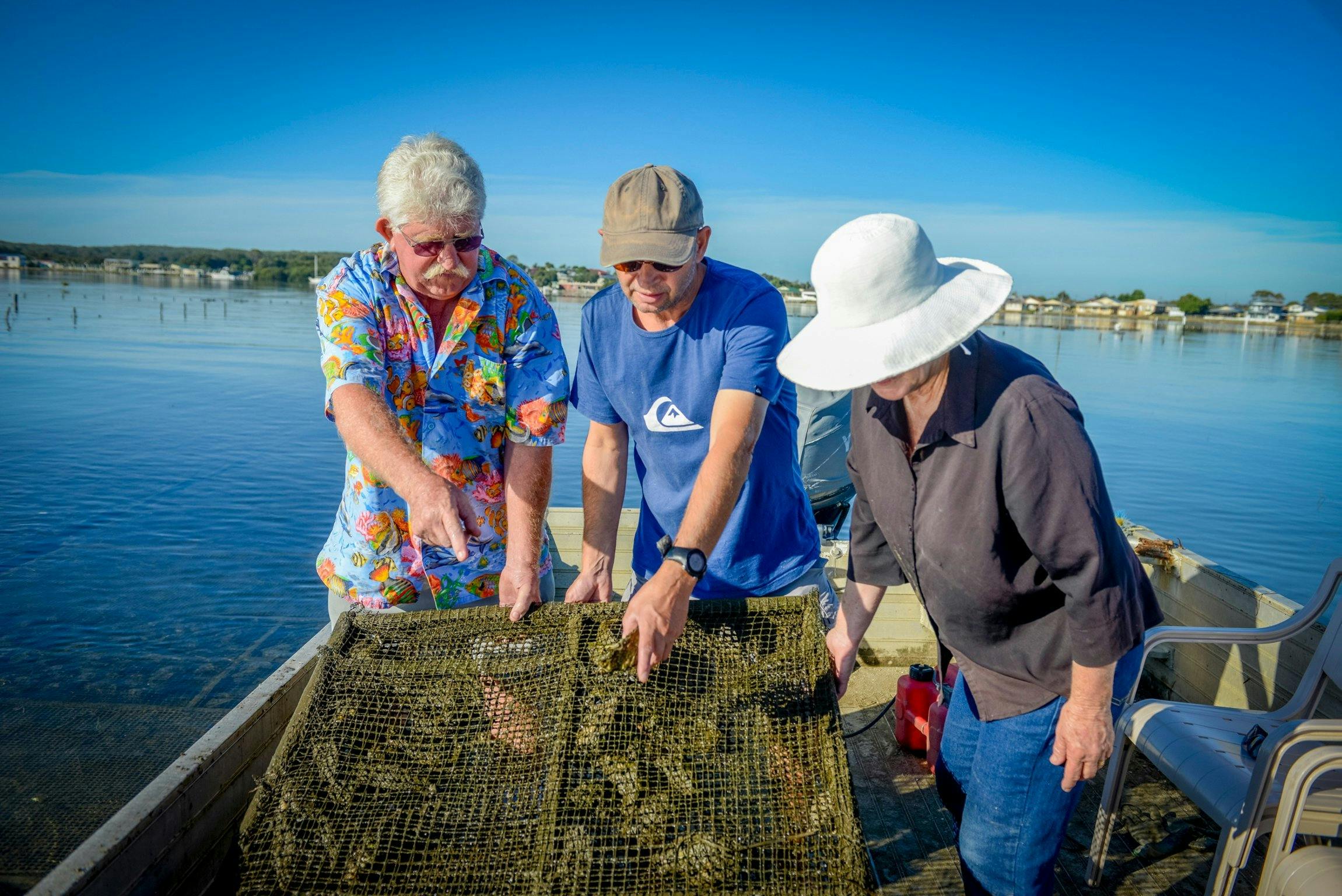 Jim Wild Oyster Service - Greenwell Point