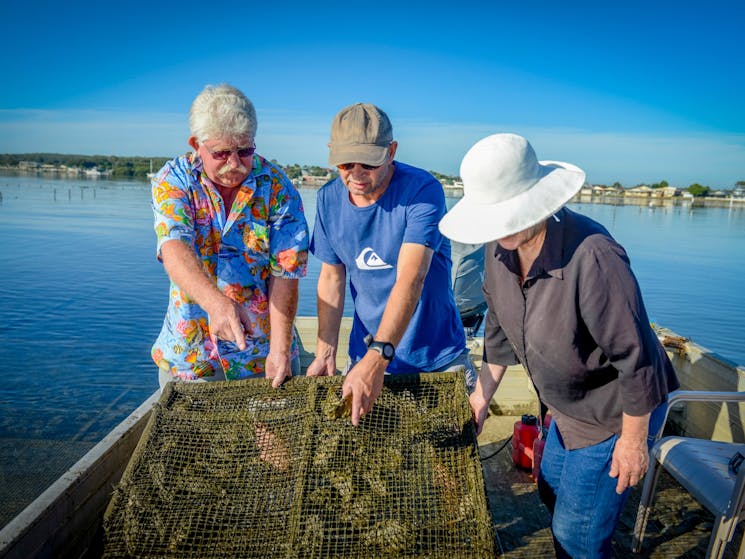 Jim Wild Oyster Service - Greenwell Point