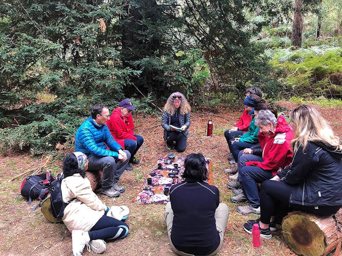 Forest Bathing in Adelaide