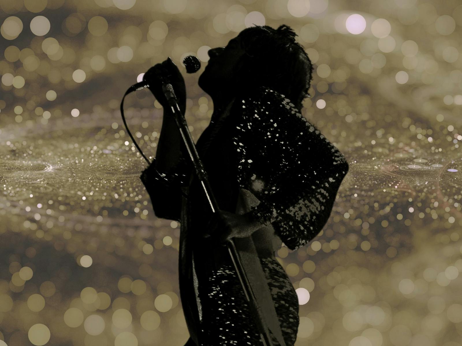 Image for The UK Rod Stewart Show
