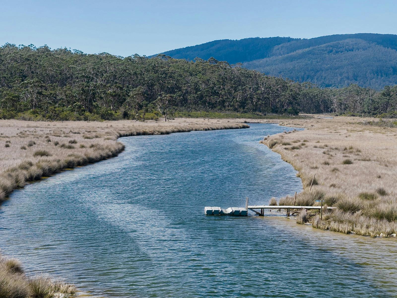Mystery picnic by the creek image