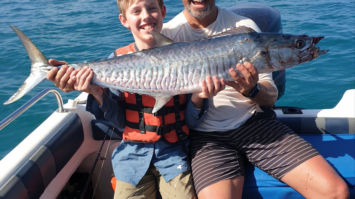 Spanish Mackerel