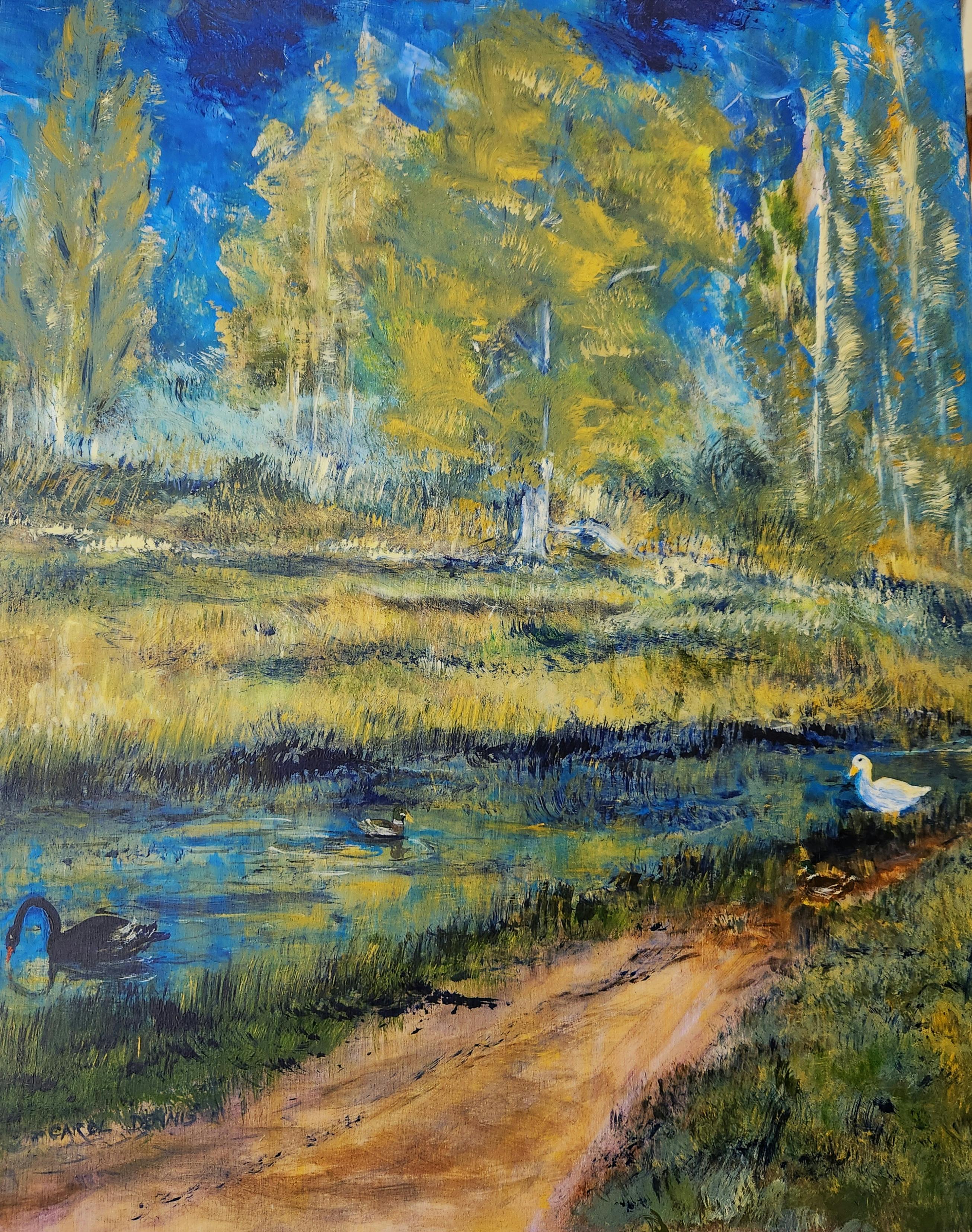 art exhibition, tasmania, acrylic, art,