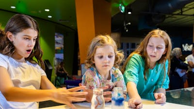 Children participating in a live science demonstration at Questacon