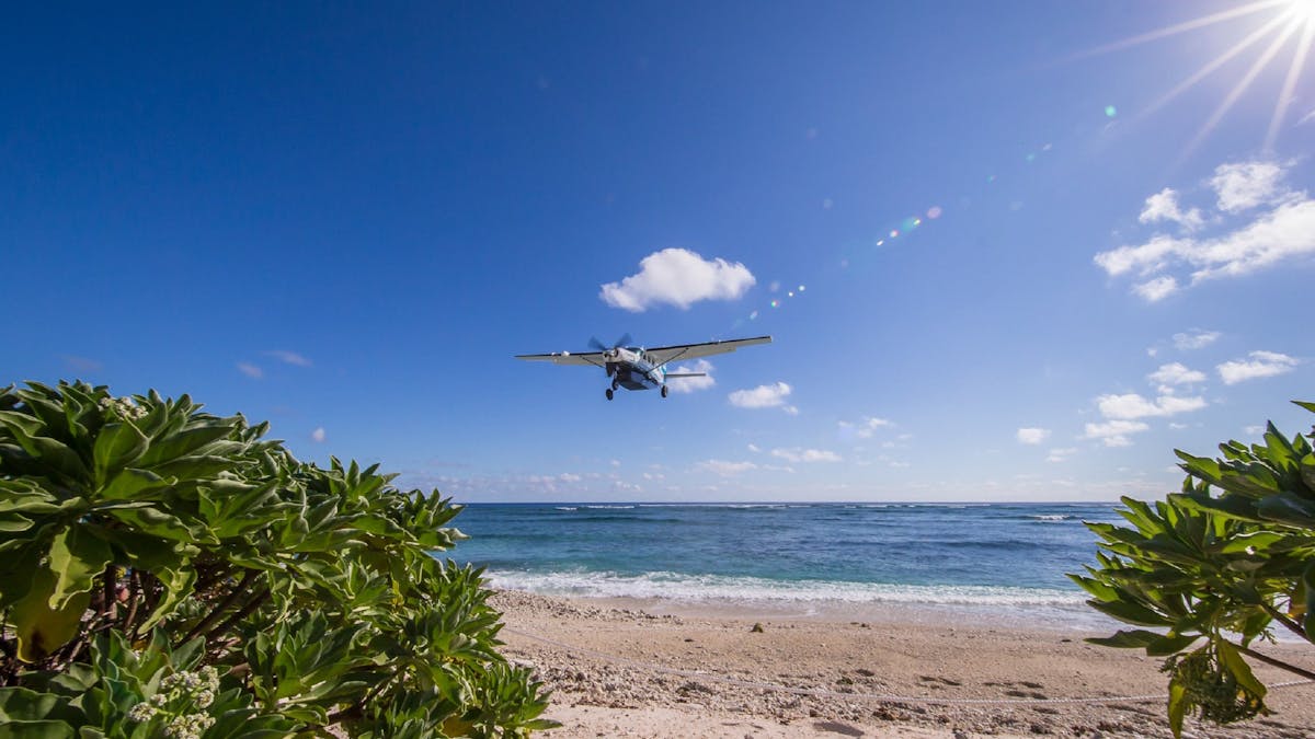 Lady Elliot Island