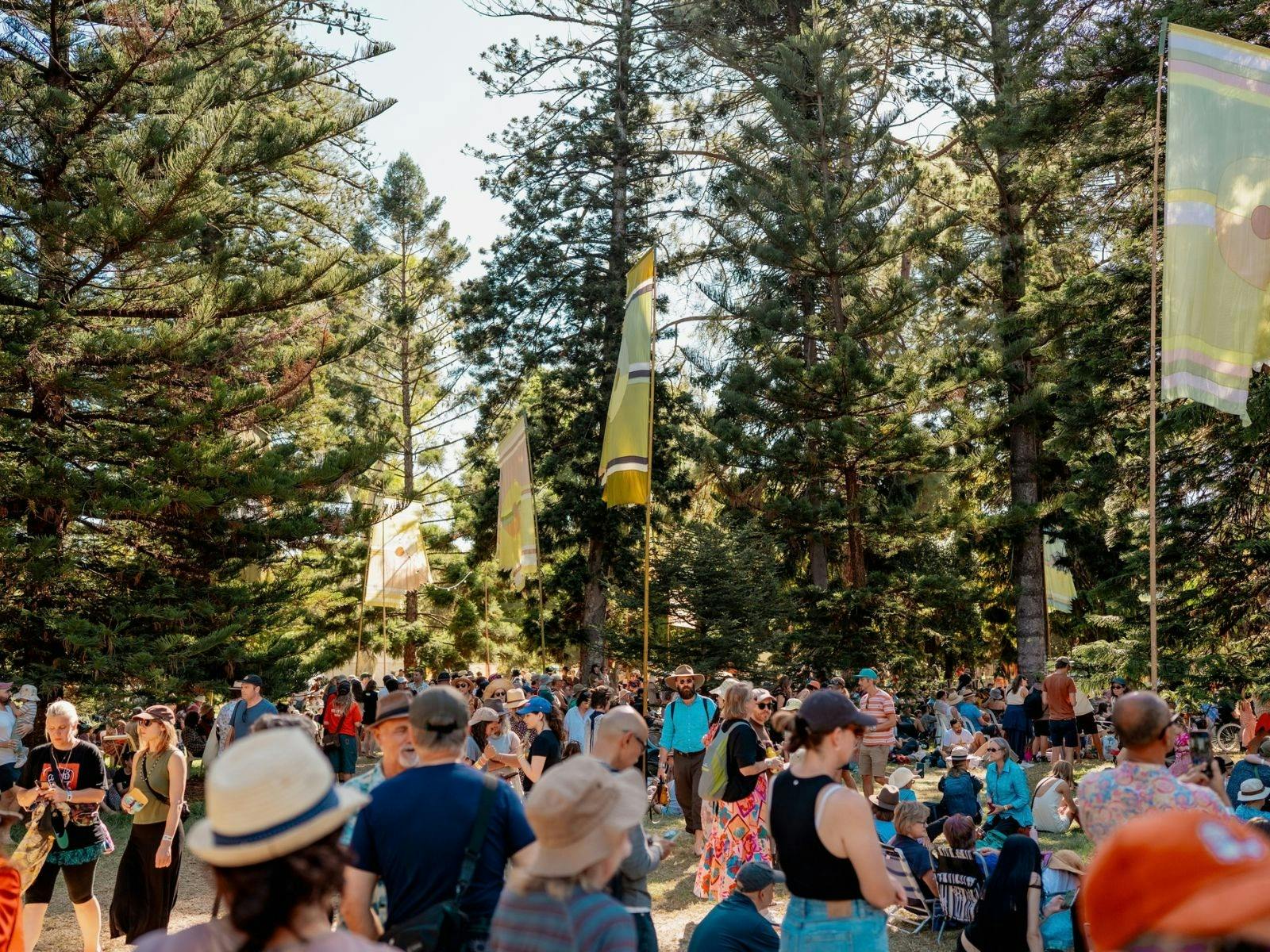 WOMADelaide 2026 atmosphere with lots of people, flags and trees