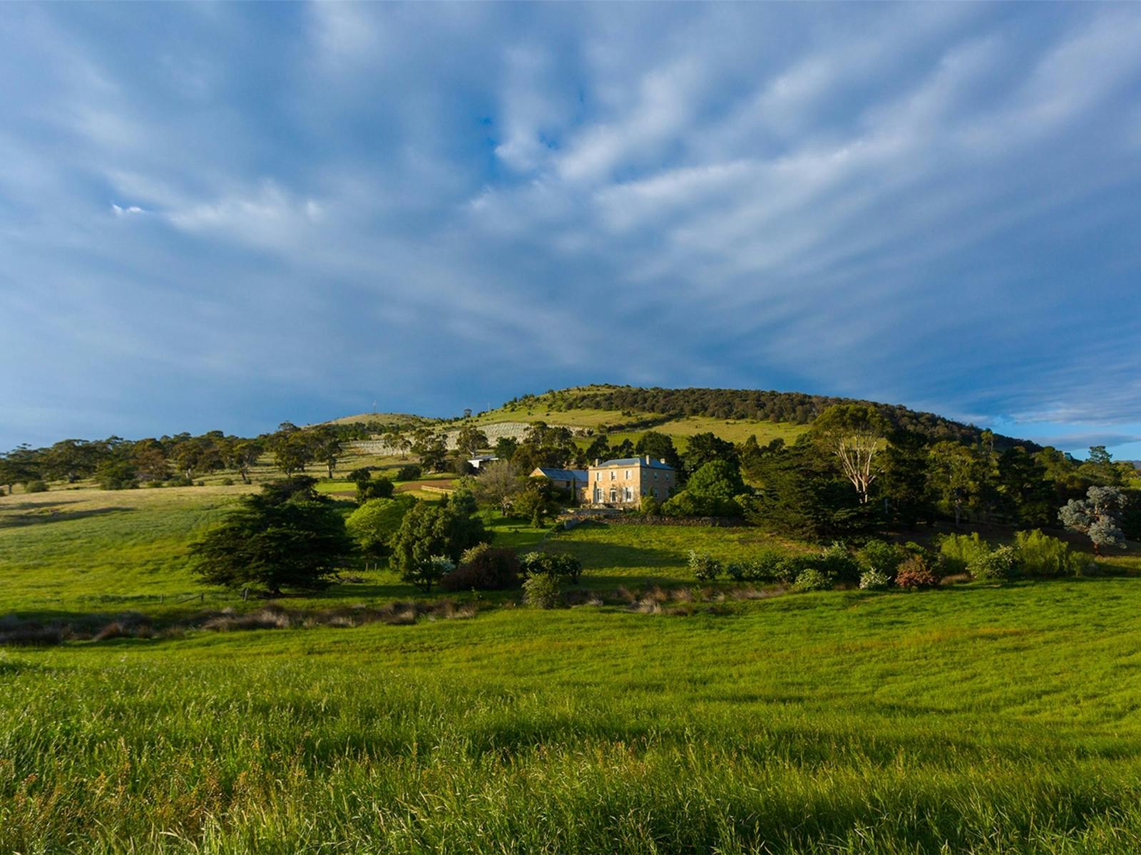 Pooley Wines (Belmont Vineyard)