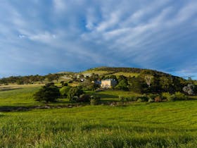 Pooley Wines