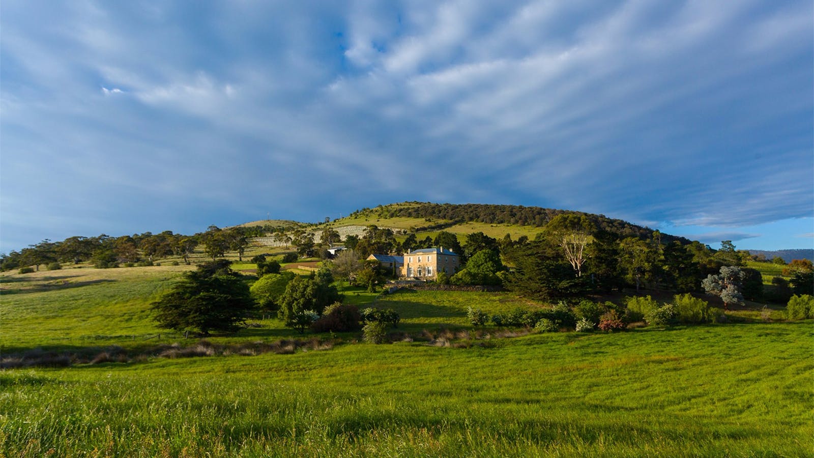 Pooley Wines (Belmont Vineyard)
