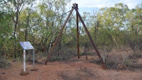 Flying Fox Daly Waters