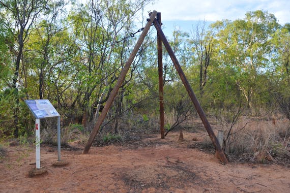 Flying Fox Daly Waters