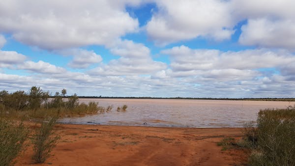 Rowles Lagoon Conservation Park