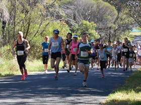 ReBoot in Bermagui Cover Image