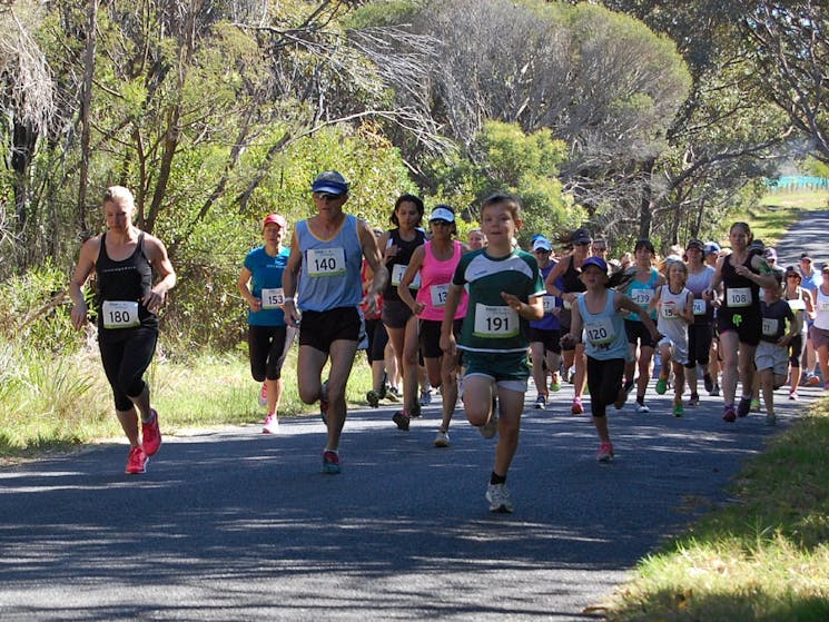 ReBoot in Bermagui