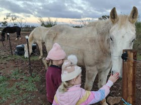 Two children in winter clothes and beanie, patting and chatting with Dozey the old grey horse.