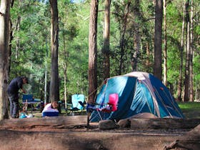 Campgrounds - Thunderbird Park