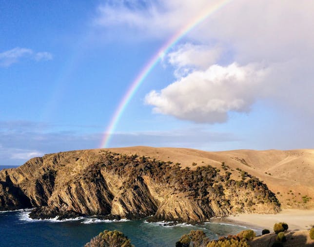 Kangaroo Island 5 Day PackFree Guided Walk Lifes an Adventure