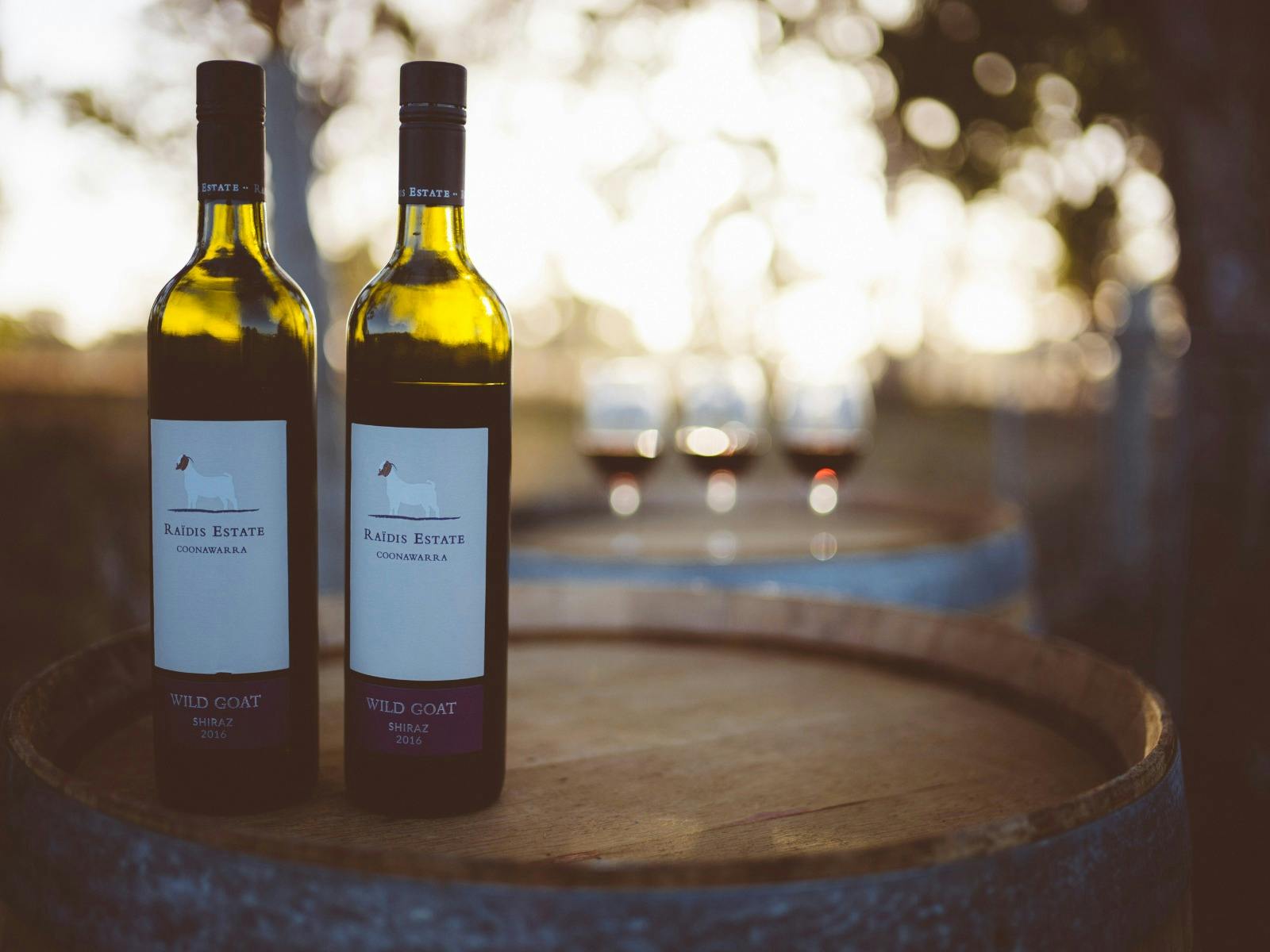 Murder in the Vines – A 1920s Coonawarra Mystery