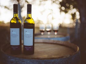 Murder in the Vines – A 1920s Coonawarra Mystery
