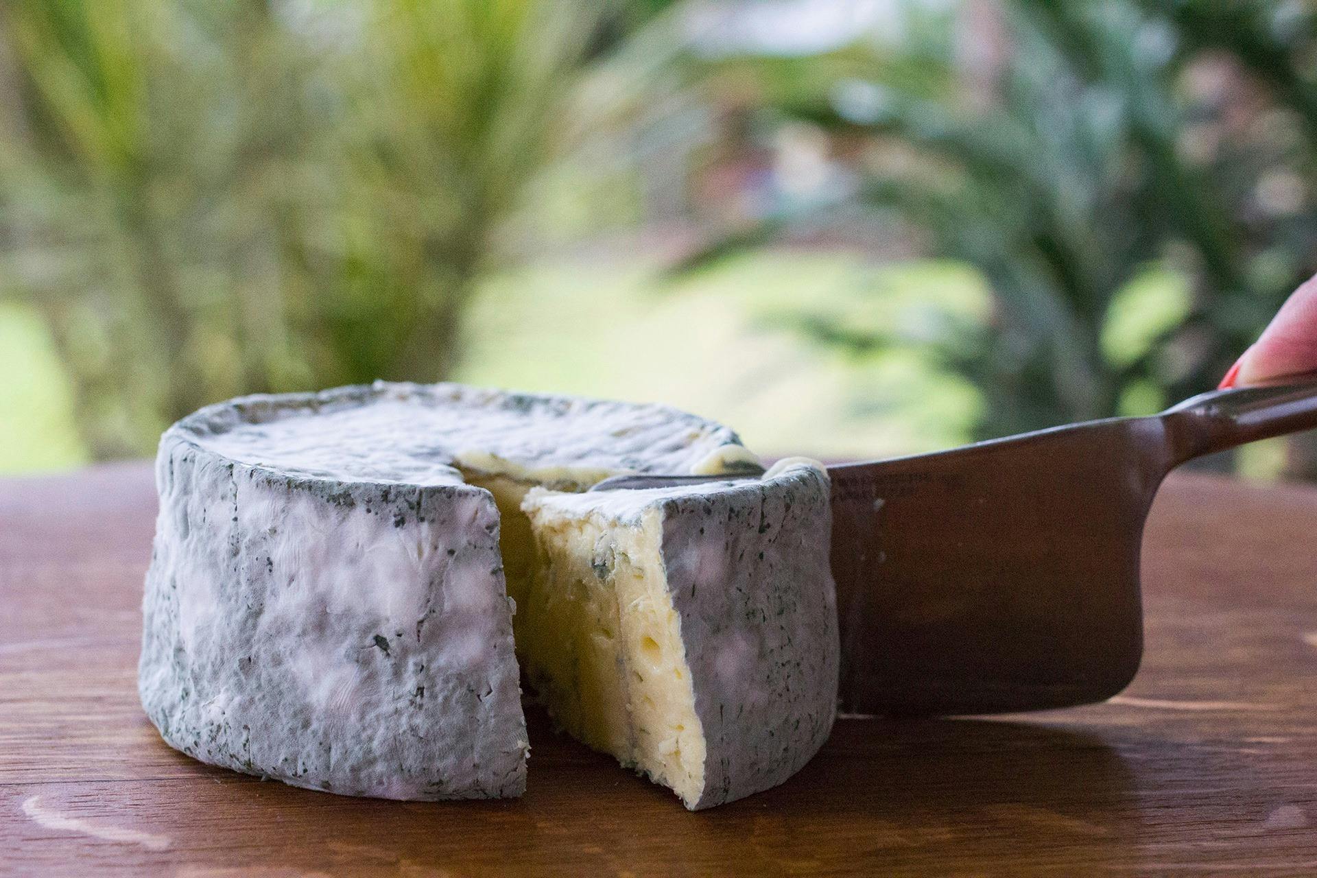 rind in tacked