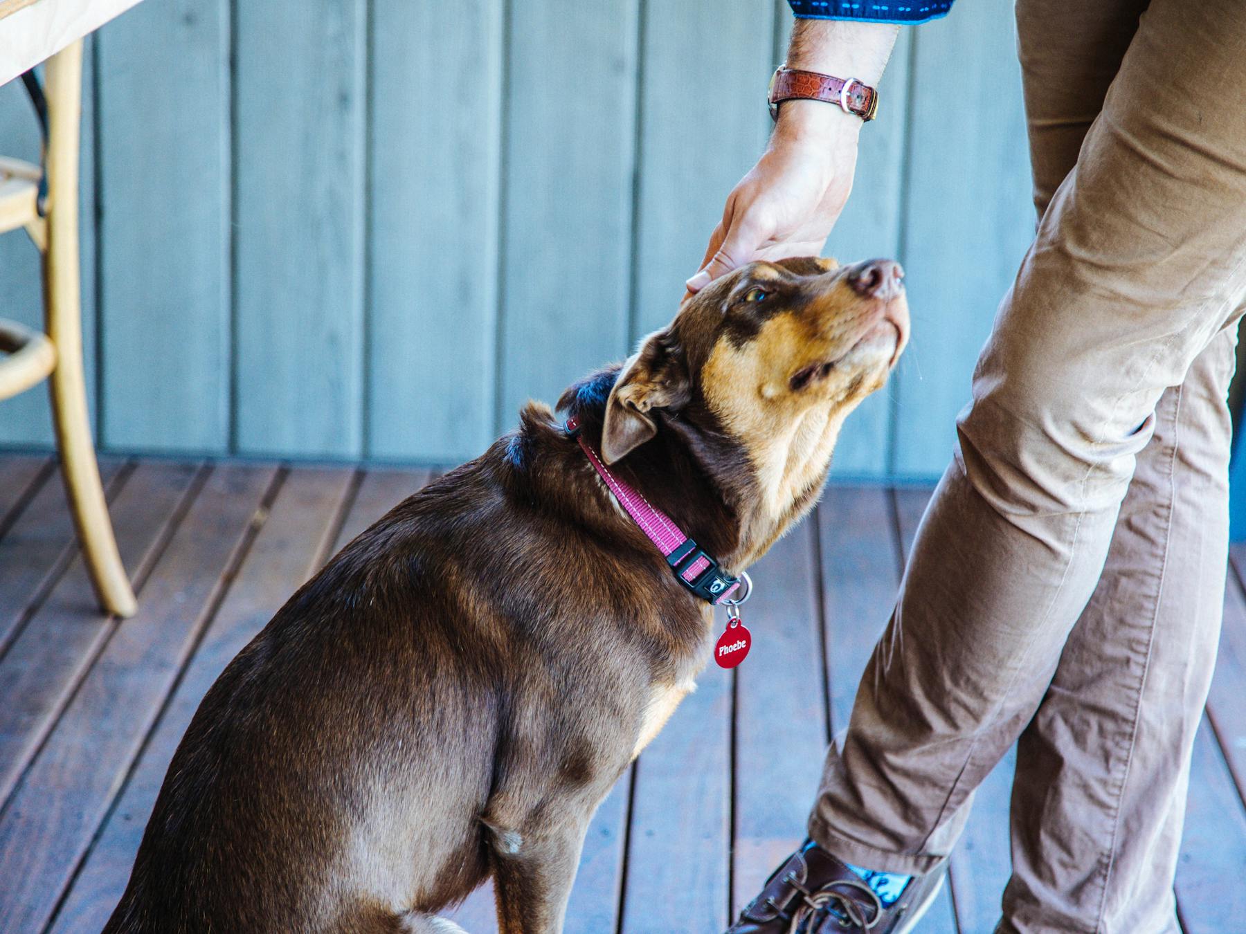 Hunter Valley tours and experiences