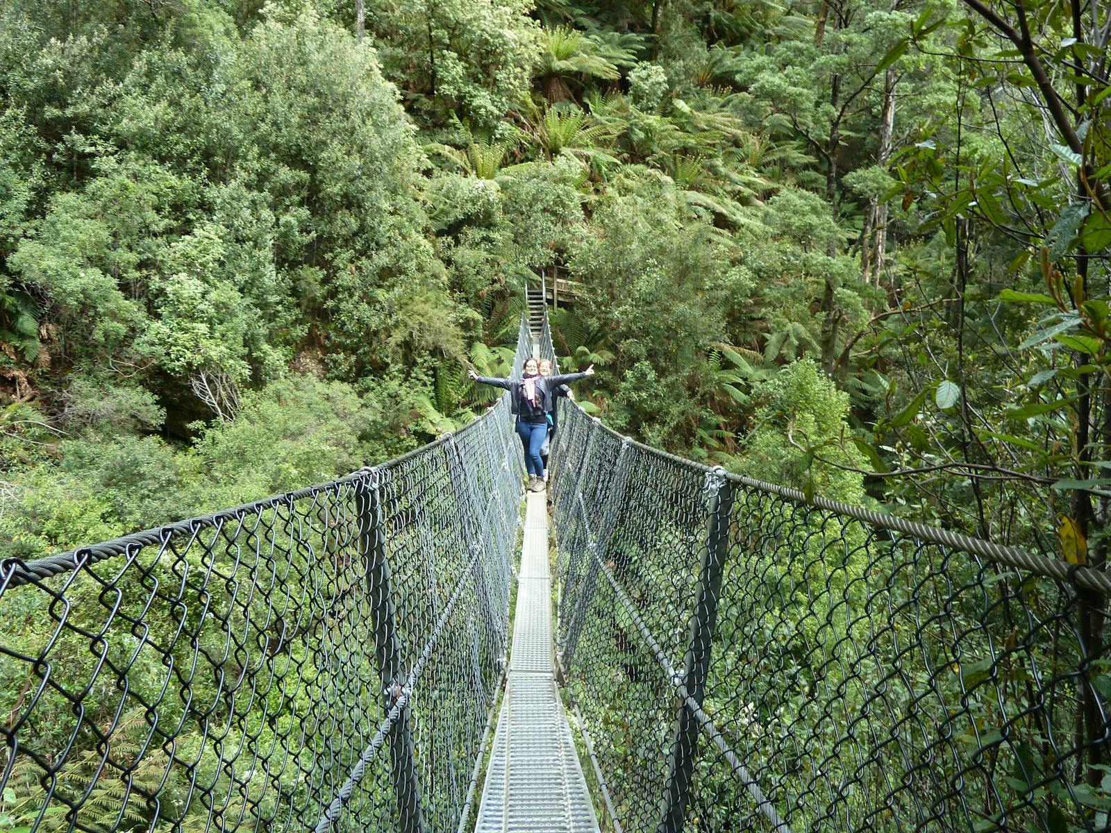 Suspension Bridge, Montezuma Falls trail, West Coast Tasmania