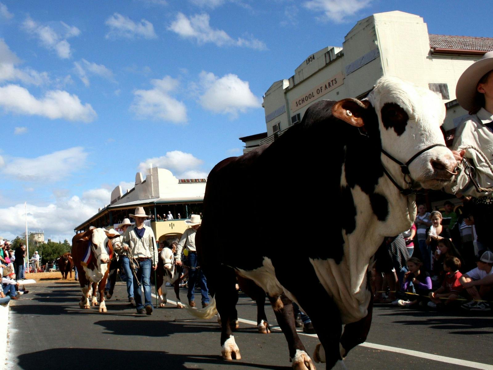 Casino Beef Week