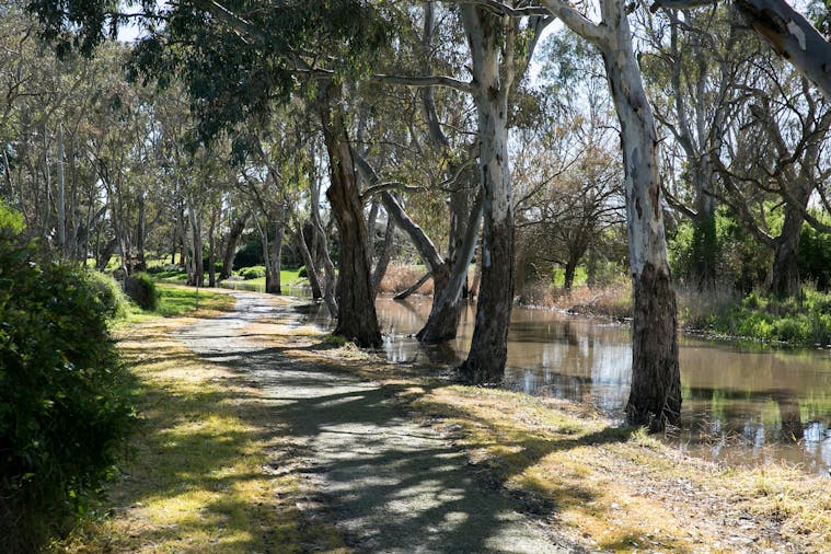 Naracoorte Creek Walk and Nature Park
