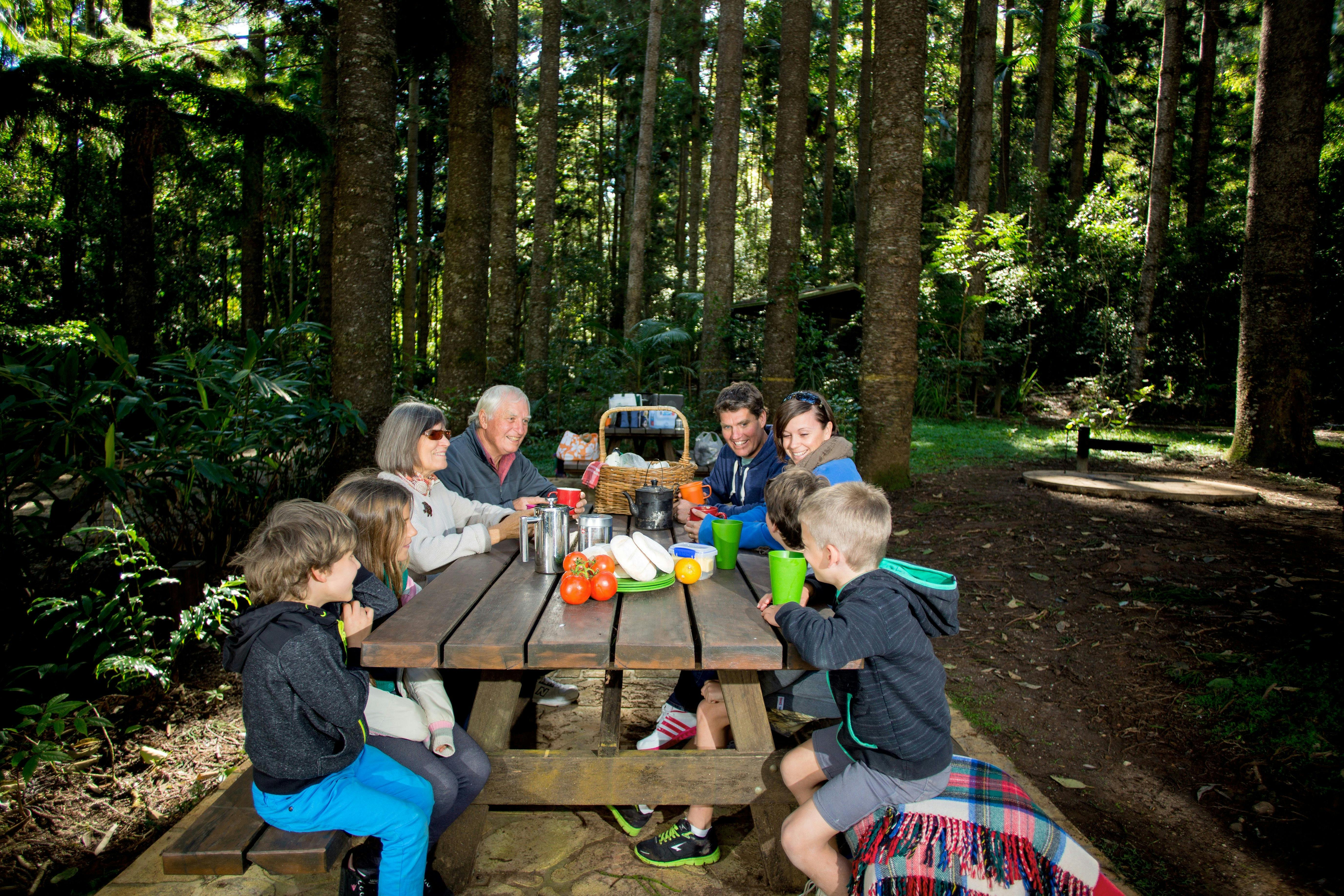 The Pines Picnic Area