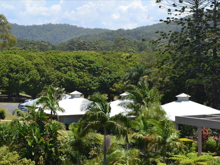 Surrounded by Nature at Absolute Beachfront Opal Cove Resort