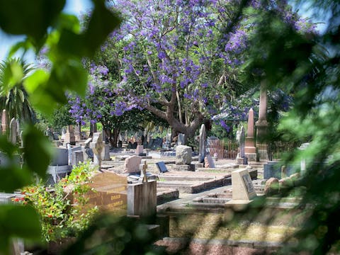 Field of Mars Cemetery History Tours