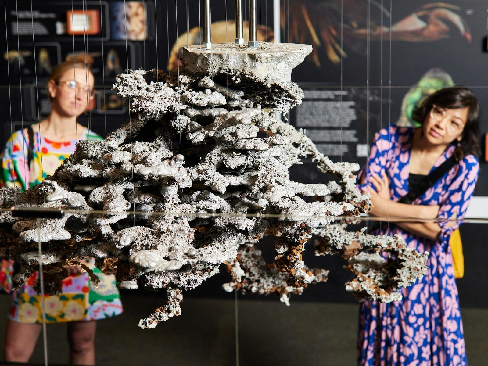 Two female museum visitors observing a Giant Bull Ant nest cast in aluminium