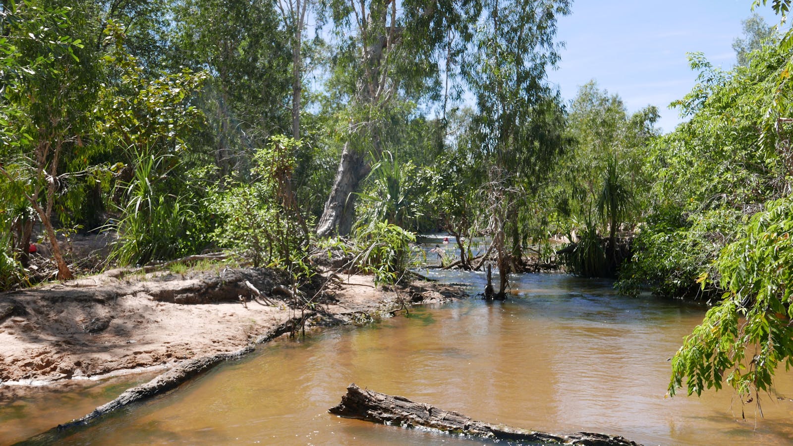 Tjuwaliyn (Douglas) Hot Springs Park