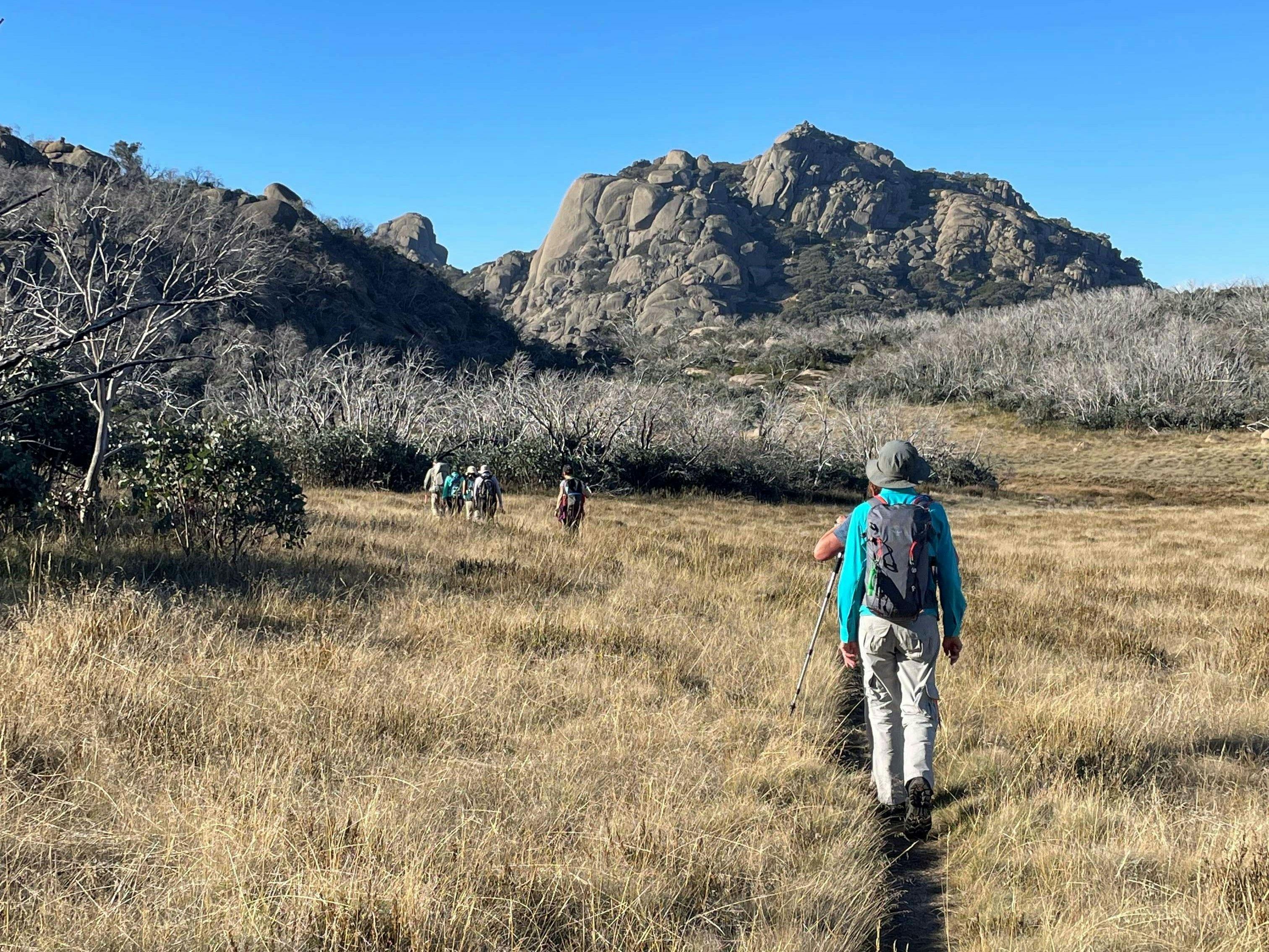 Vic Alps Highlights 4-day Walk
