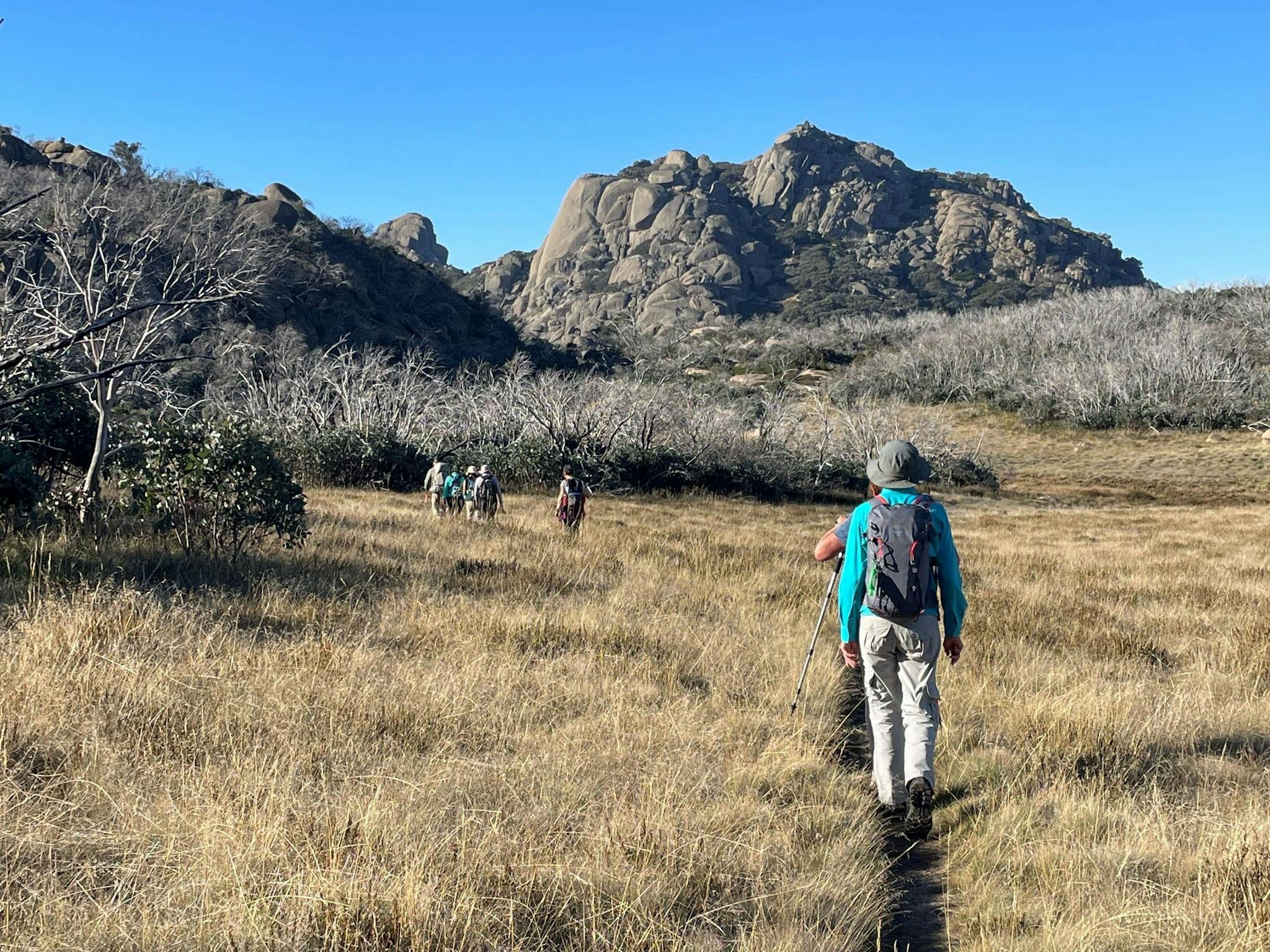 Vic Alps Highlights 4-day Walk