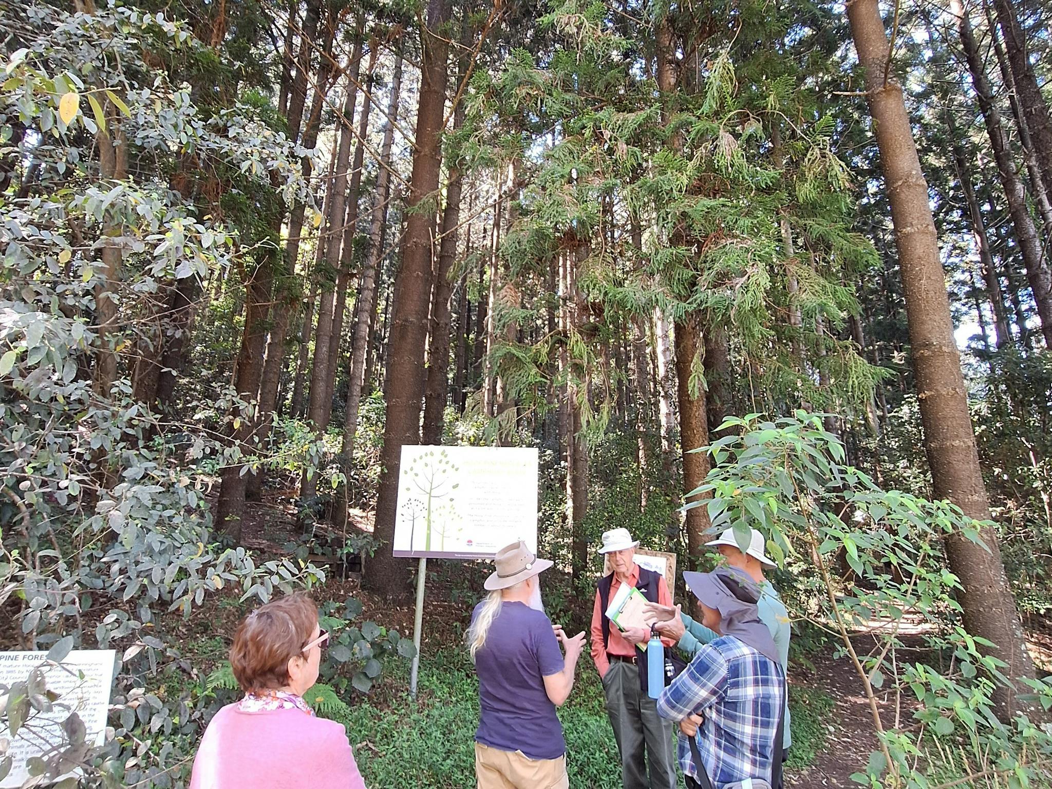 Guided walk in the Rainforest Botanic Gardens