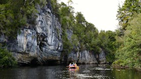 Lower Franklin River