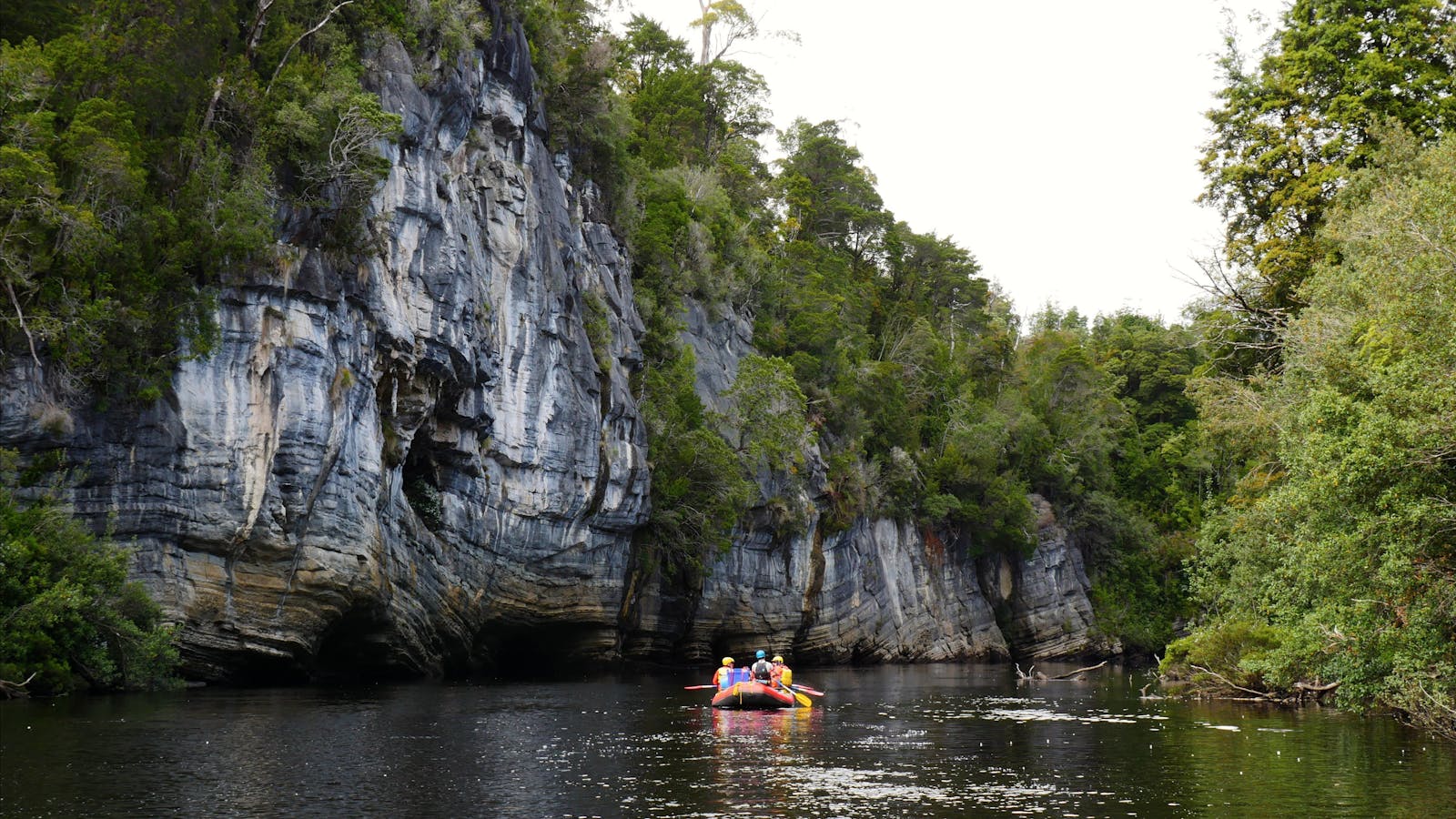 Limestone cliffs along the lower reaches of the Franklin River