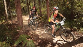 Pine Creek State Forest Mountain Bike Trails