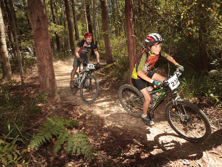 Mountain bikers in Pine Creek State Forest