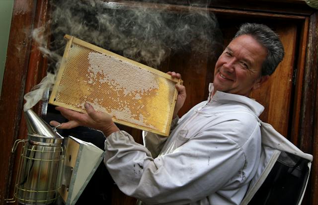 The House of Honey, Herne Hill, Western Australia