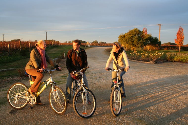 Penola Cycling Trails